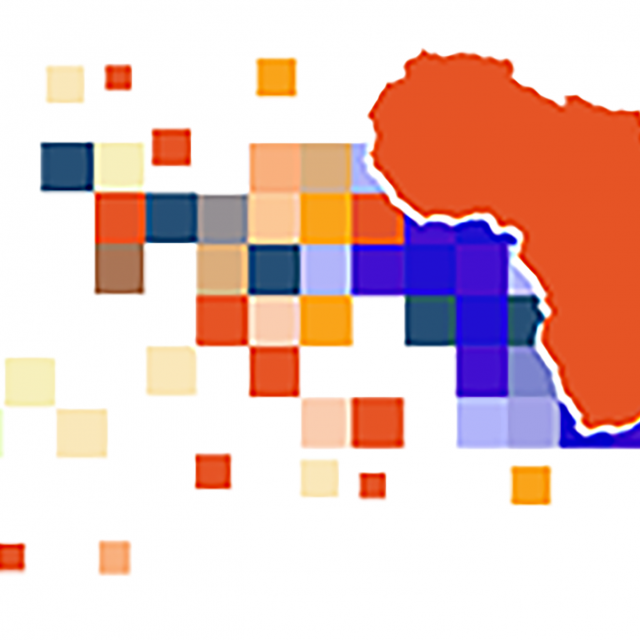 Africa Evidence Network