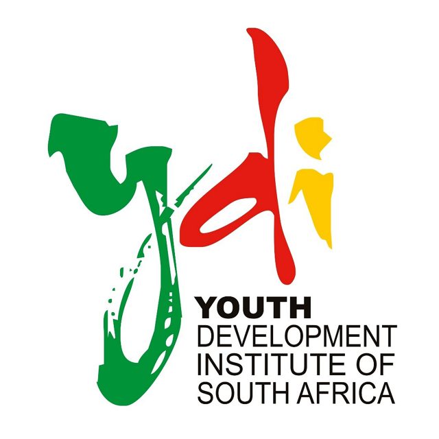Logo For Youth Development Institute Of South Africa
