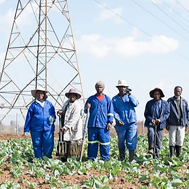 The Soweto Community And Workers At Sizani Farmers