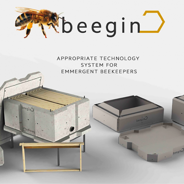 Beegin