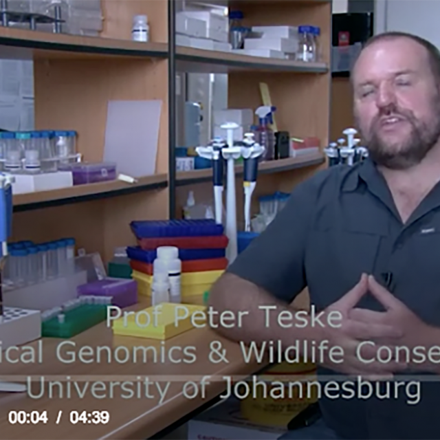 Screenshot Of Video Uj