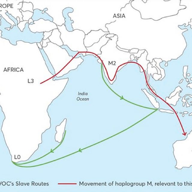 map article
