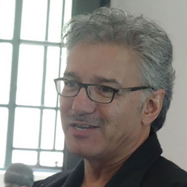 prof salim vally