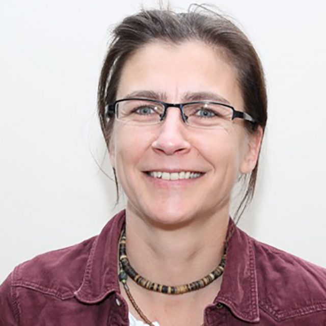prof veli mitova