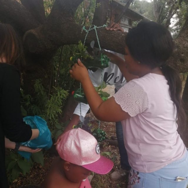 Uj Botanists