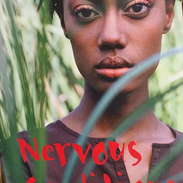 nervous conditions