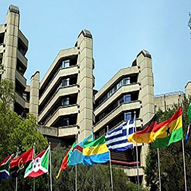 12th Annual International Festival