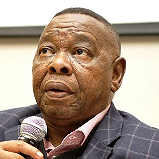 Blade Nzimande Body Image
