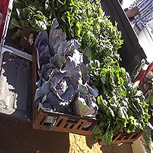 Fresh Produce Market In Soweto Thumb