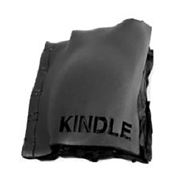 Kindle 2 Pic