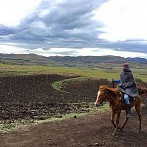 Mosotho Farm Child