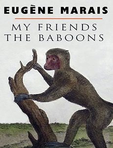 My Friends The Baboons