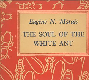 The Soul Of The White Ant