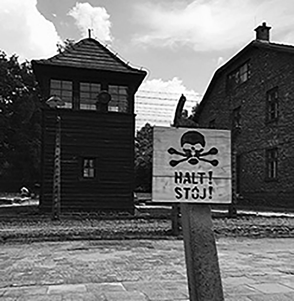 A Picture Taken At Auschwitz