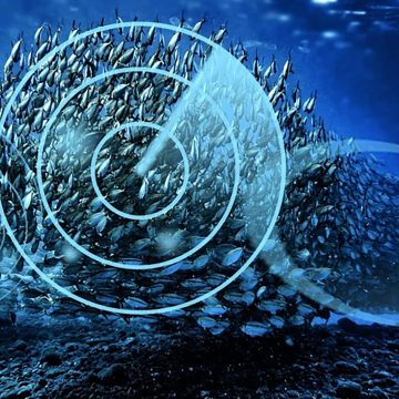 Ai Sharpens Companys Strategic Edge