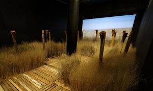 Faculties Faculty Of Art Design And Architecture Departments Visual Art News 9