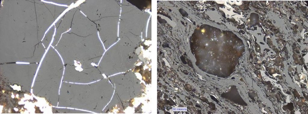 Photomicrographs 1