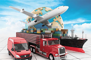 Diploma In Transportation Management