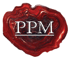 PPM logo