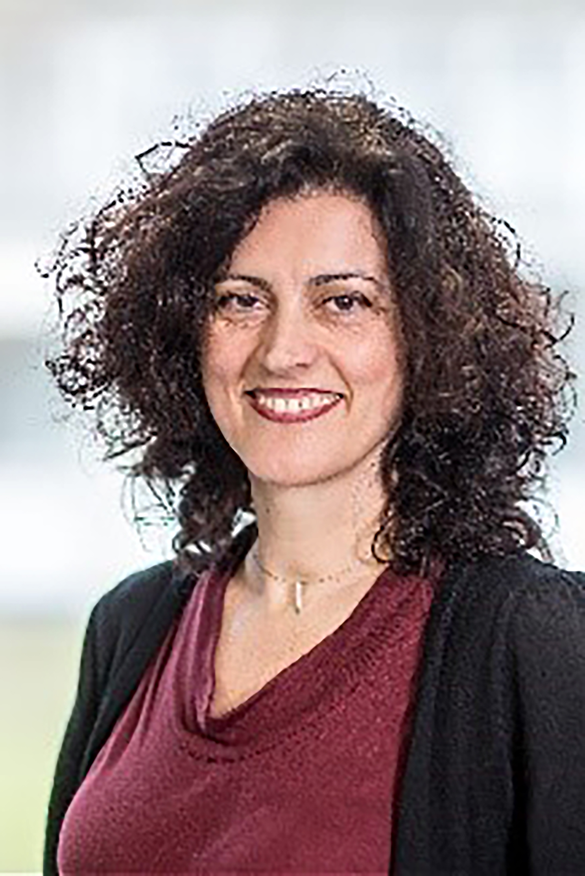 Prof Eva Demerouti