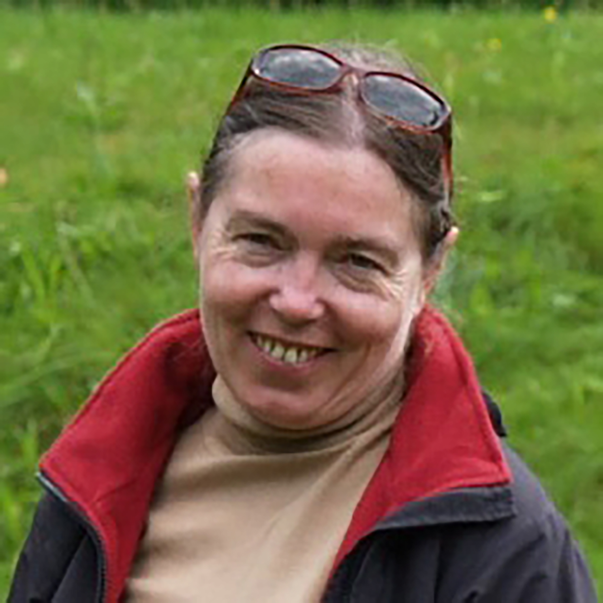 Professor Dorota Witkowska