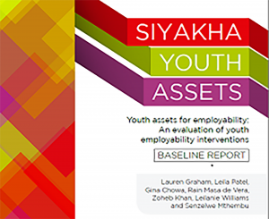 Siyakha Youth Assets Report