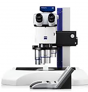 Zeiss Discovery Stereo Microscope
