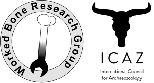 Icaz Wbrg Logo Copy