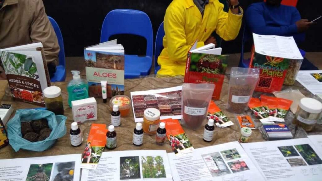 National Science Week Gallery 2019