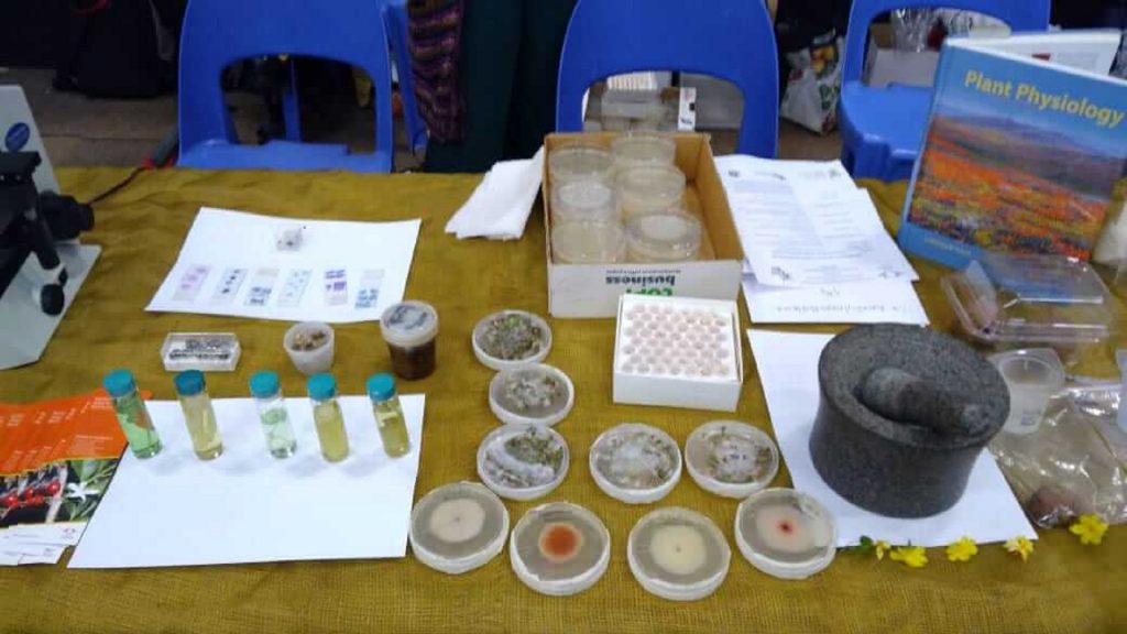 National Science Week Gallery 2019