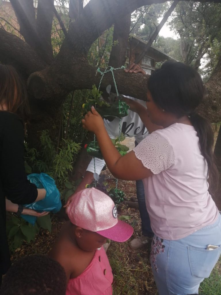 Uj Botanists Westdene Recreation Centre Project
