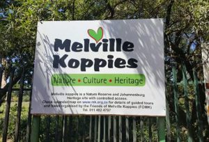 Melville Koppies