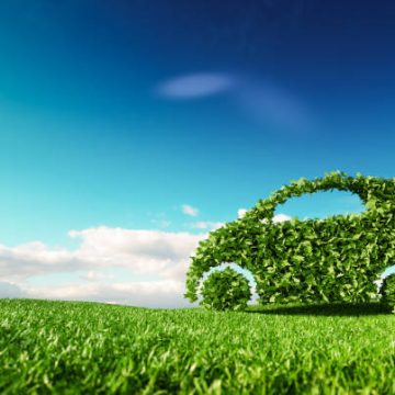 Peets Greentransport