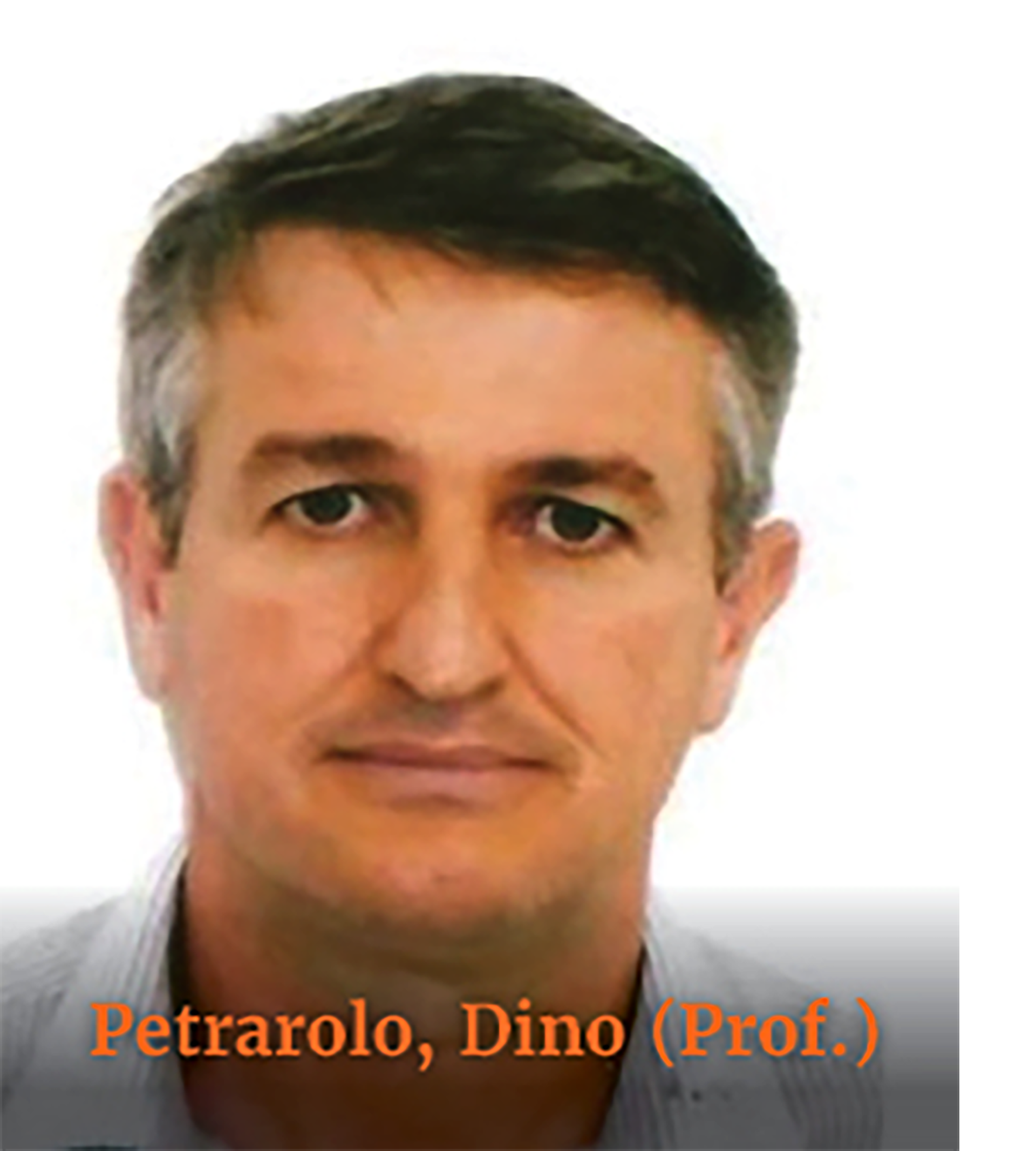 Petrarolo Dino Prof