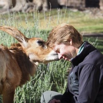 Prof Bettine Van Vuuren