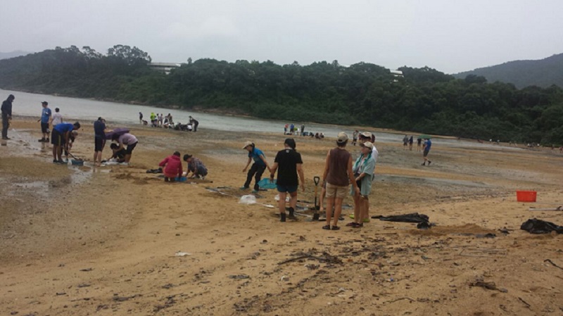 Sandy Shore Assessments