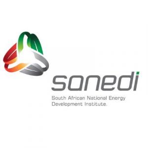 Sanedi 300x300
