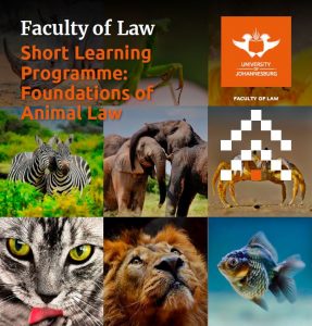 Slp In Animal Law