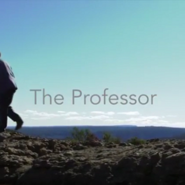 The Professor