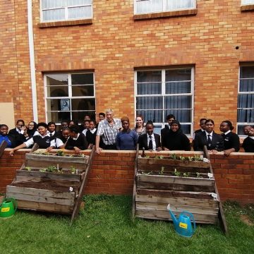 Ujma Vegetable Box Project