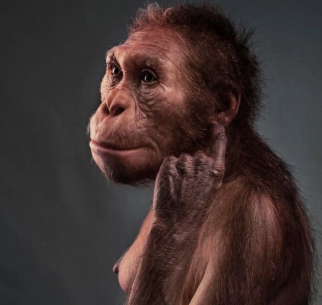 Australopithecus Sediba