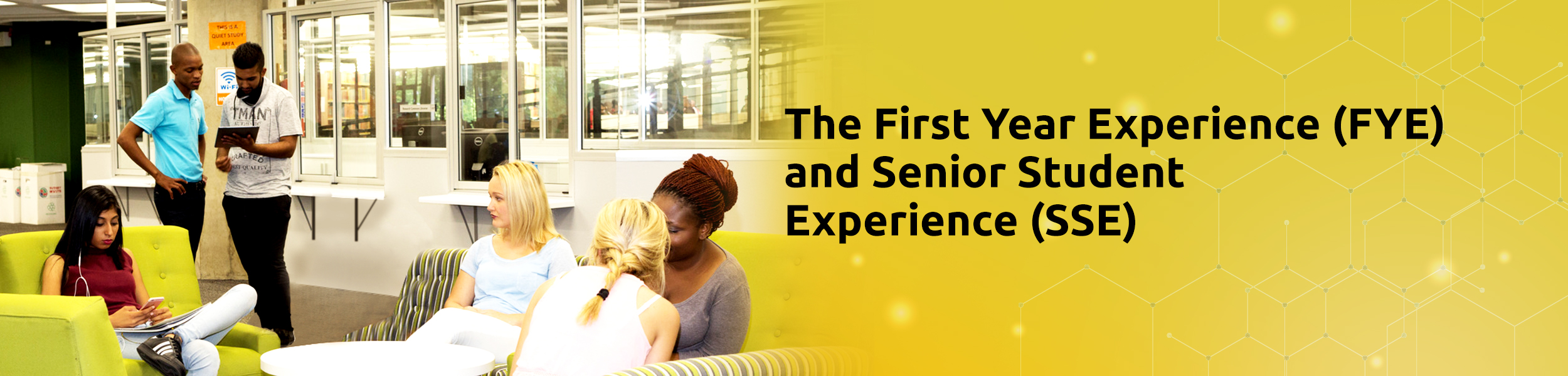 The First Year Experience (fye) And Senior Student Experience (sse)