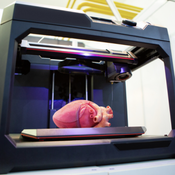 3d Organ Printing