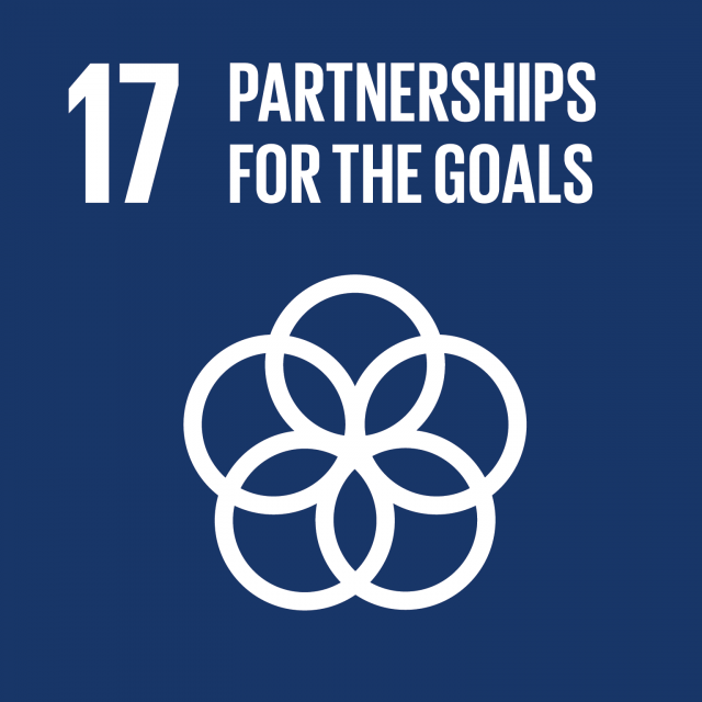 E Sdg Goals Icons Individual Rgb 17