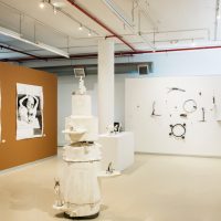 Marc Edwards Exhibition Looking Around