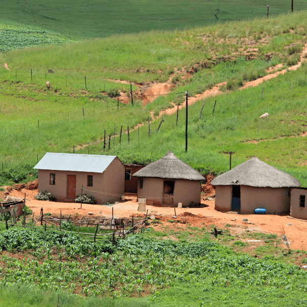 Kzn (600 × 600 Px)