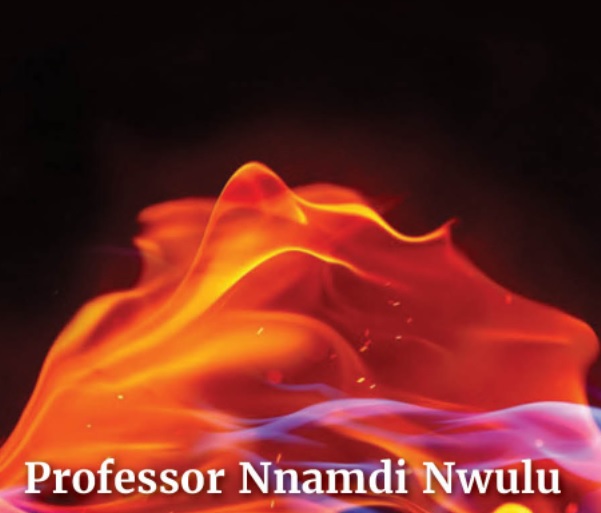Prof Nnandi Nwulu