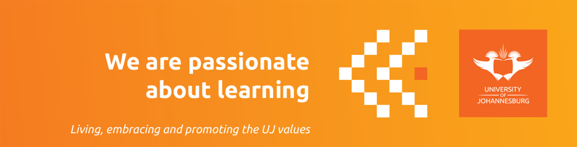 Uj Values Expressions Posters 2020 Ulink 1170x300mm 13