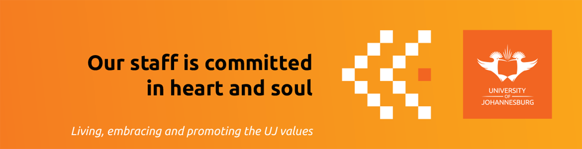 Uj Values Expressions Posters 2020 Ulink 1170x300mm 26