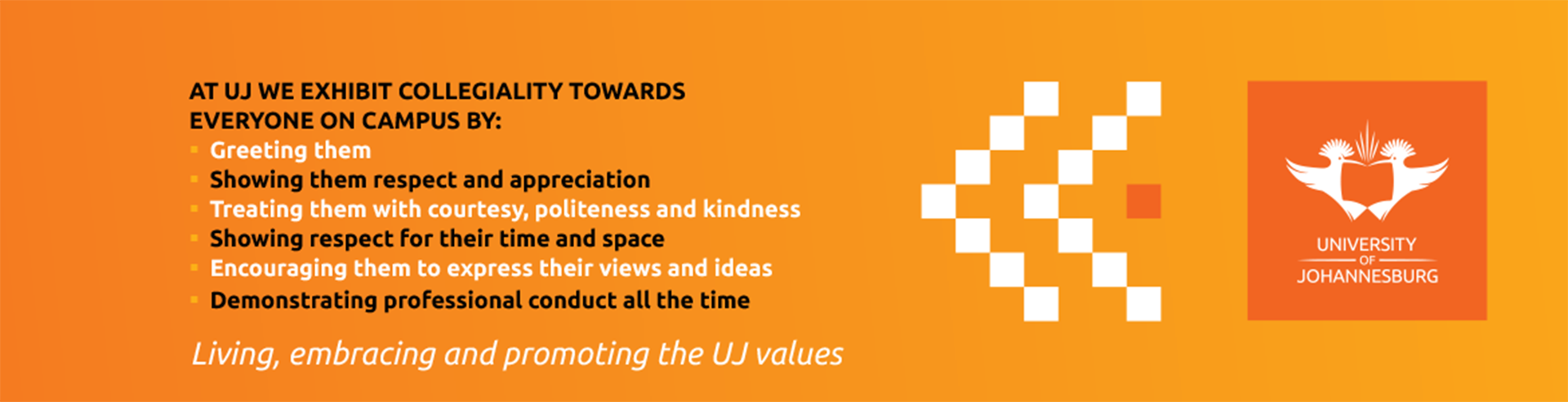 Uj Values Expressions Posters 2020 Ulink 1170x300mm 41